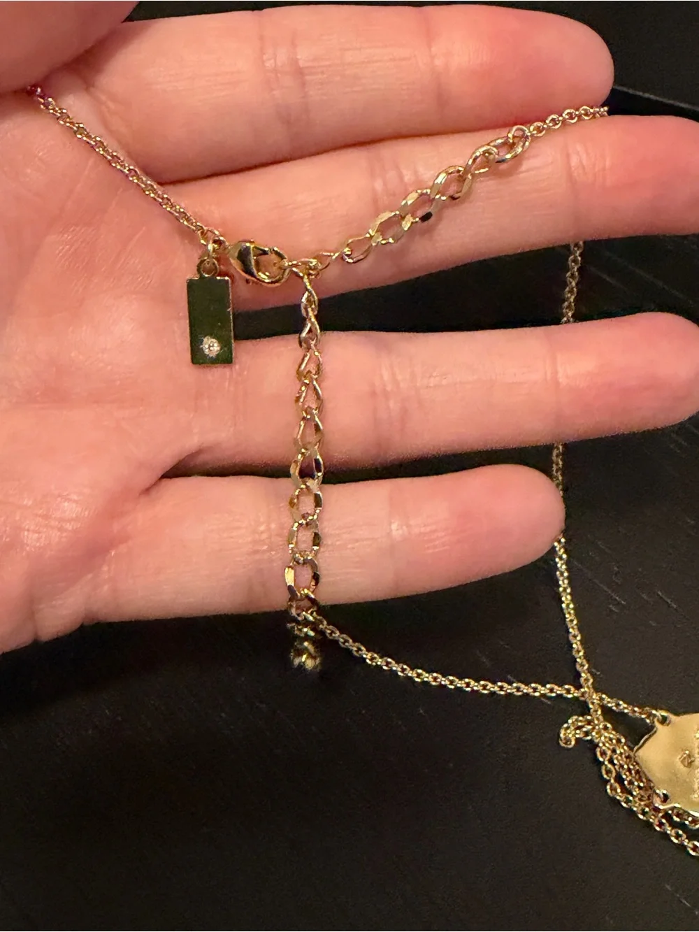 Kate Spade New York Ladybug Pendant Necklace Gold Friendly Insects Adjustable